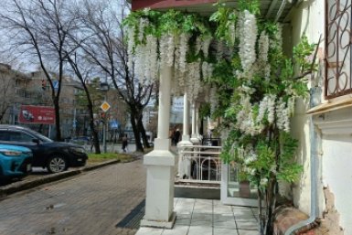 Пока вы спали: сколько ждать автобус, воссоздание училища, когда Земля перестанет вращаться