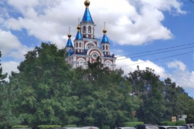 Пока вы спали: в вуз через госуслуги, безвиз не отменят, бум на рынке спермы и "великая богиня"