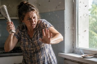 Кошмар кровососов: этот дешёвый аптечный трюк за 1 минуту выдворит из дома всех комаров и мошек