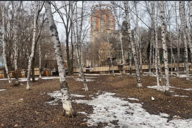 Сквер по ул. Волочаевской — ул. Блюхера Сайт голосования