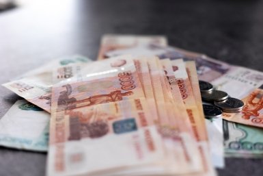 Россиян предупредили о рисках введения "материнской зарплаты"