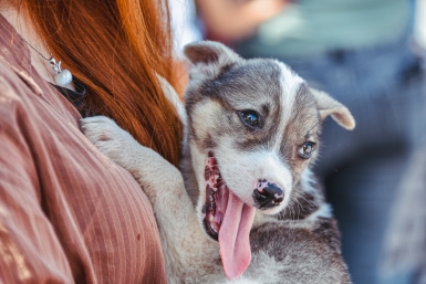 Тематическое фото Мария Смитюк, ИА PrimaMedia
