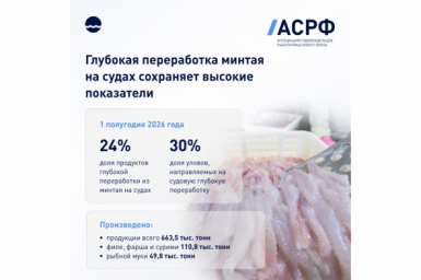 Глубокая переработка минтая на судах сохраняет высокие показатели  Пресс-служба АСРФ