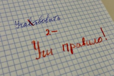 Лишь 3% врожденных грамотеев пройдут этот тест на орфографию: остальные сдаются на пятом слове ИА KrasnodarMedia