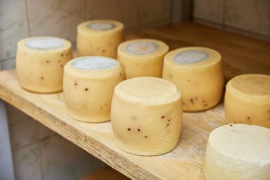 Санкционные итальянские сыры и норвежские анчоусы из магазина Краснодара сожгли Дмитрий Осипчук
