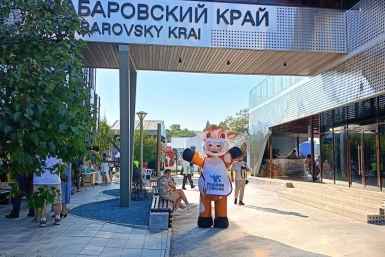 Картинки с ярмарки: что сделано в Хабаровском крае