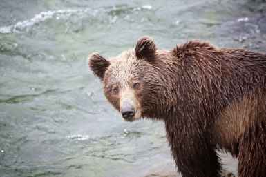 Тематическое фото Игорь Чёрный, ИА MagadanMedia