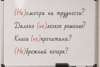 Снова в 7-й класс: экспресс-тест на коварное правило с "НЕ" — а как напишите вы?