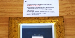 Искусство, разглядеть которое можно лишь под микроскопом, доступно хабаровчанам Роман Федоров, корр. ИА AmurMedia