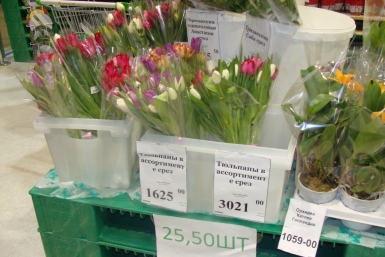  Тюльпан оказался едва ли не самым популярным цветком в этот праздник 8 марта Ко Виктория, AmurMedia 