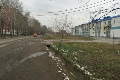 Жители нескольких домов на улице Малиновского в Хабаровске рискуют жизнью из-за отсутствия в этом районе пешеходного перехода Анна Ридняк