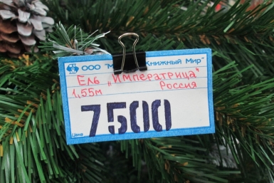 Искусственные елки начали активно продавать в Хабаровске Корр. ИА AmurMedia