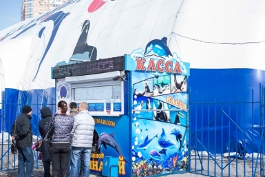 Зоозащита Хабаровска выступила против дельфинов в хлорированной воде Корр. ИА AmurMedia