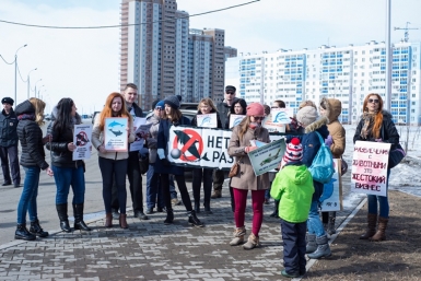 Зоозащита Хабаровска выступила против дельфинов в хлорированной воде Корр. ИА AmurMedia