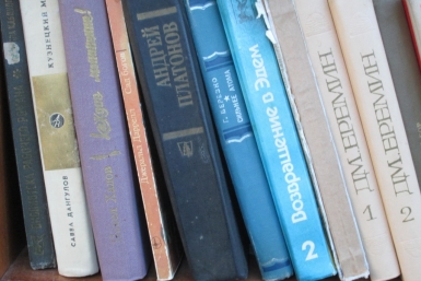 Книжный шкаф на улице Суворова в Хабаровске Корр. ИА AmurMedia