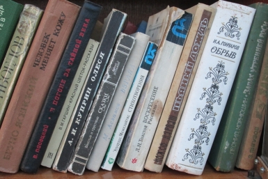 Книжный шкаф на улице Суворова в Хабаровске Корр. ИА AmurMedia