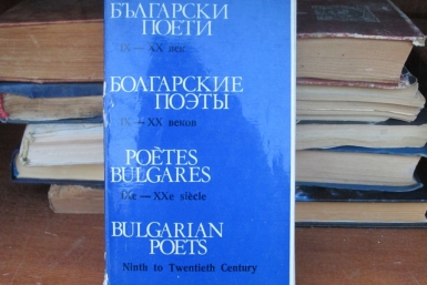 Книжный шкаф на улице Суворова в Хабаровске Корр. ИА AmurMedia