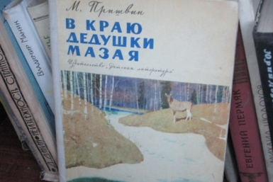 Книжный шкаф на улице Суворова в Хабаровске Корр. ИА AmurMedia