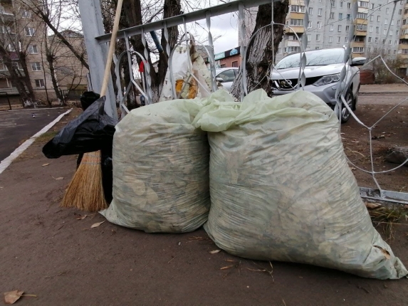 Новость дня