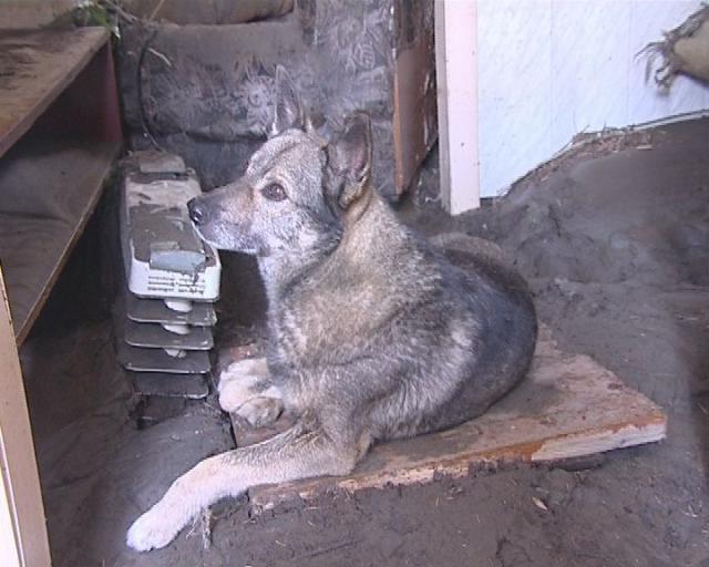 Поселок Горный