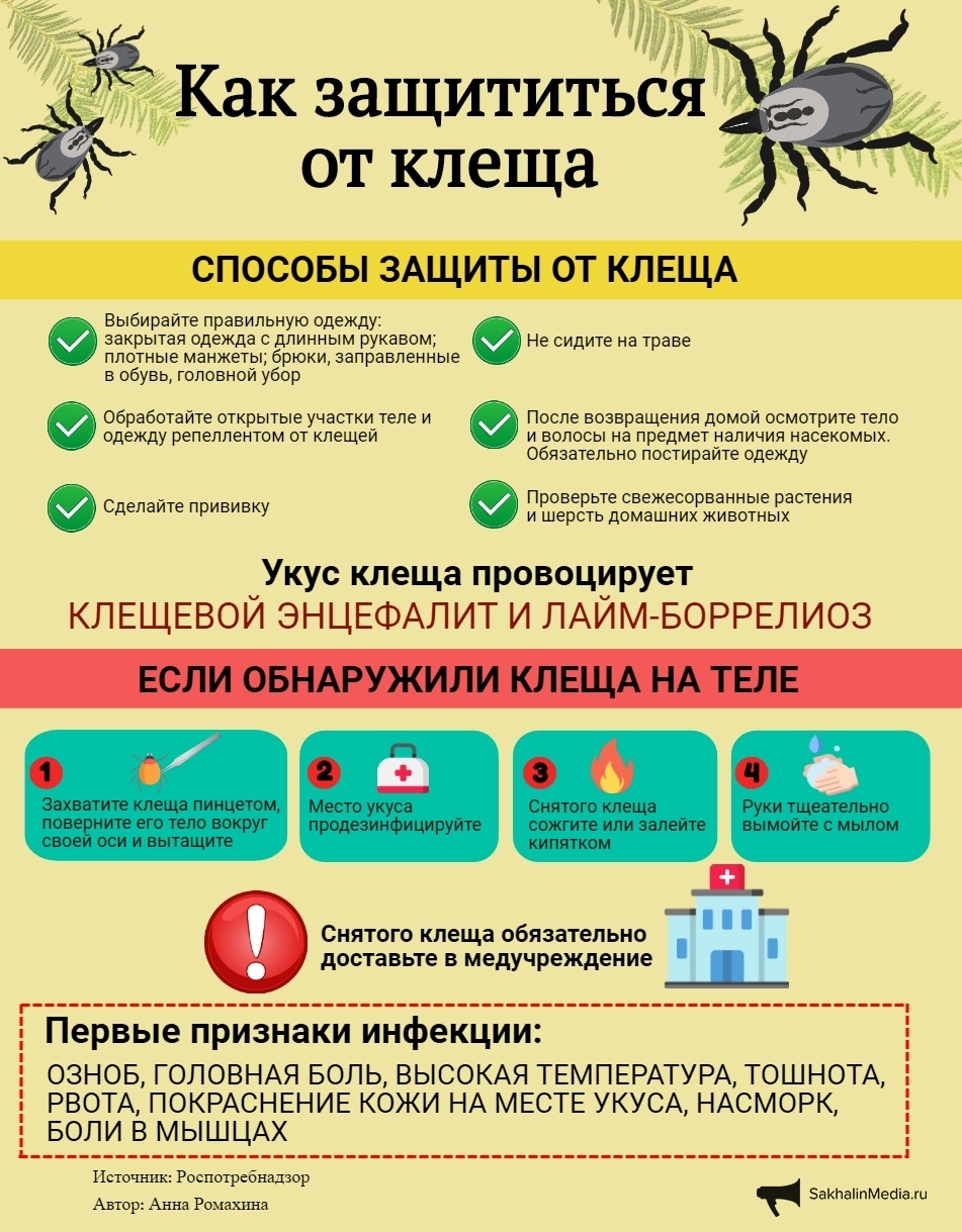 Инфографика. Как защититься от клеща