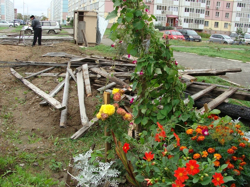 Разруха