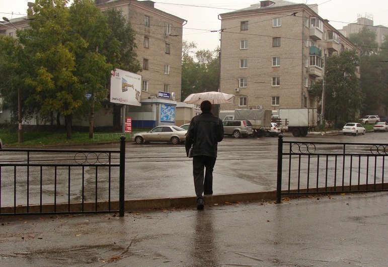 Пешеходы в Хабаровске похищают части "скотозагонов"