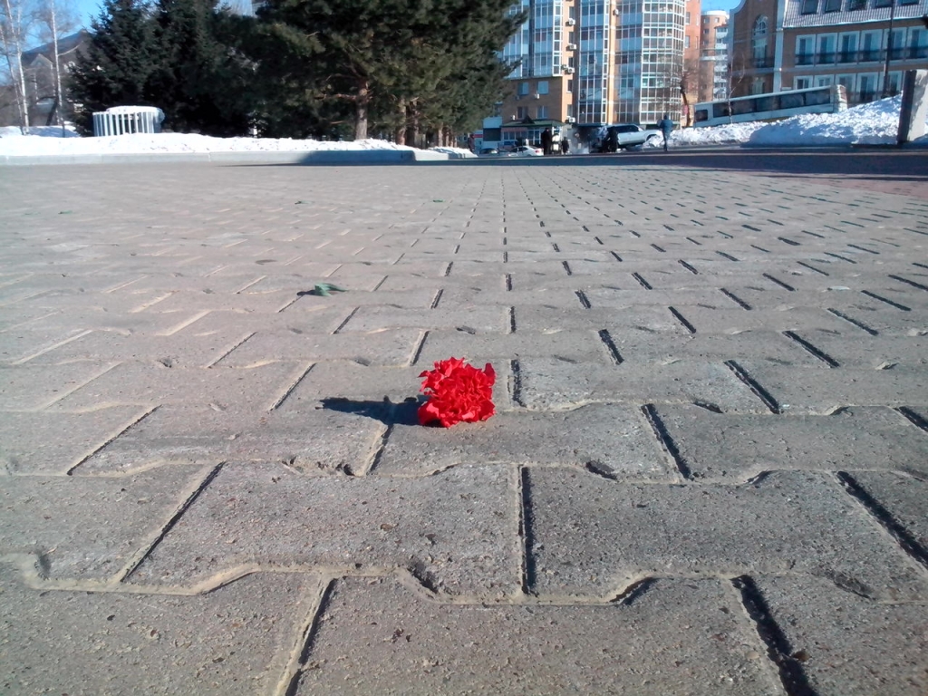 Цветок на асфальте