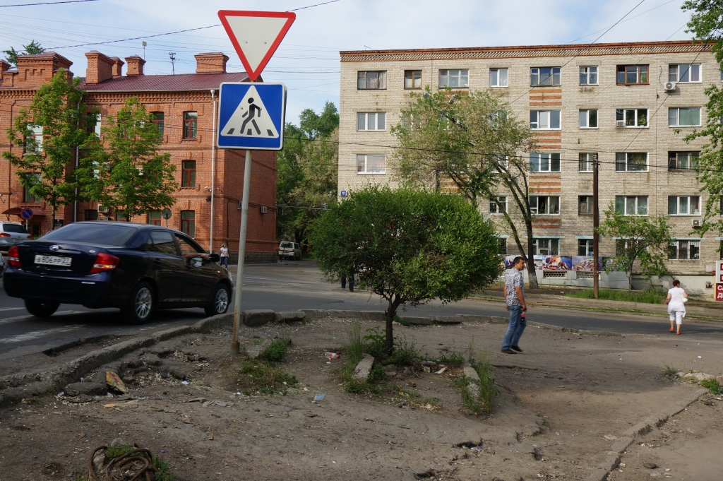 Кустарник, растущий из "лестницы", Фото с места события собственное