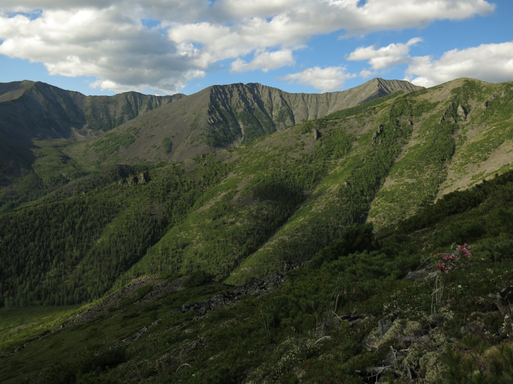 Баджальские горы, Фото с места события из других источников