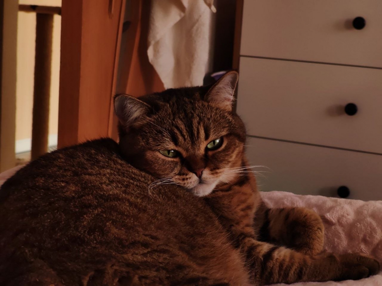 Тематическое фото ИА AmurMedia