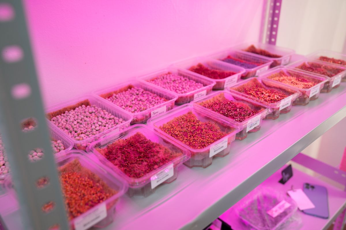 пресс-служба администрации Южно-Сахалинска