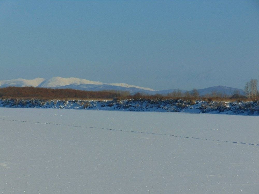 Тематическое фото Избирком Хабаровского края