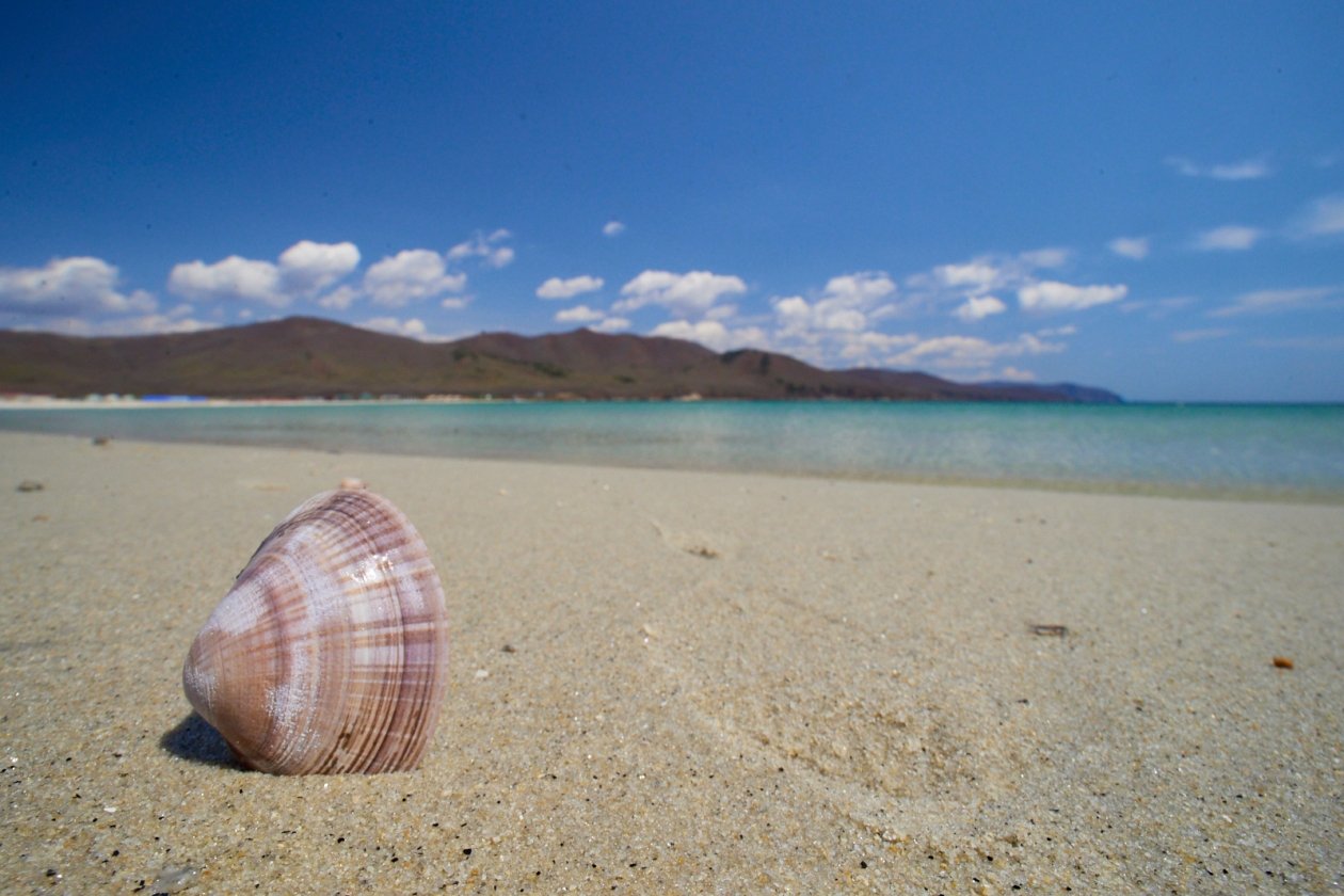 Курорты пустеют в эти месяцы: как обмануть систему и отдохнуть на море без толп Дмитрий Осипчук, ИА PrimaMedia.ru