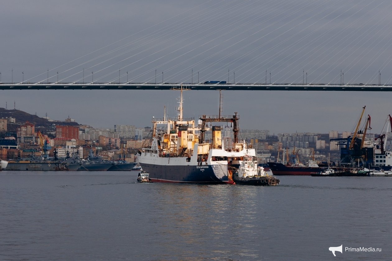 Евгений Кулешов, ИА PrimaMedia