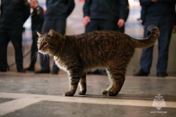 МЧС Москвы
