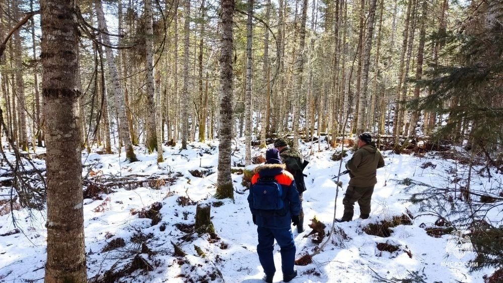 Предоставлено пресс-службой ГУ МЧС России по Хабаровскому краю