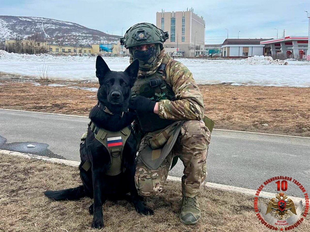 Росгвардия