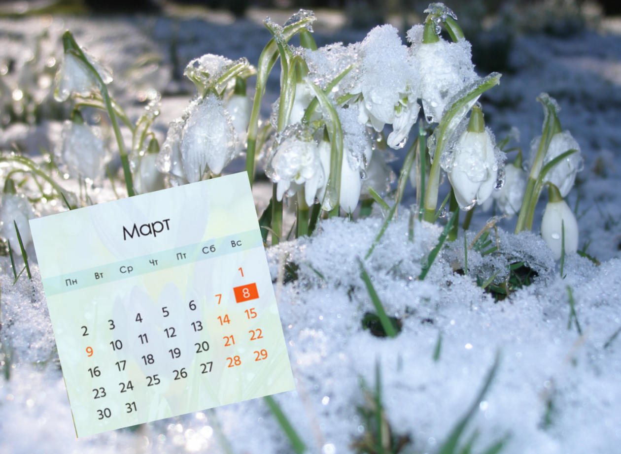 Тематическое фото Сайт pxhere.com