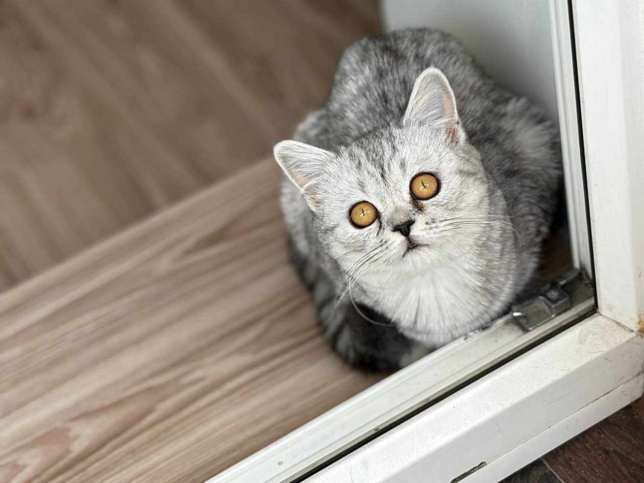 Тематическое фото ИА AmurMedia