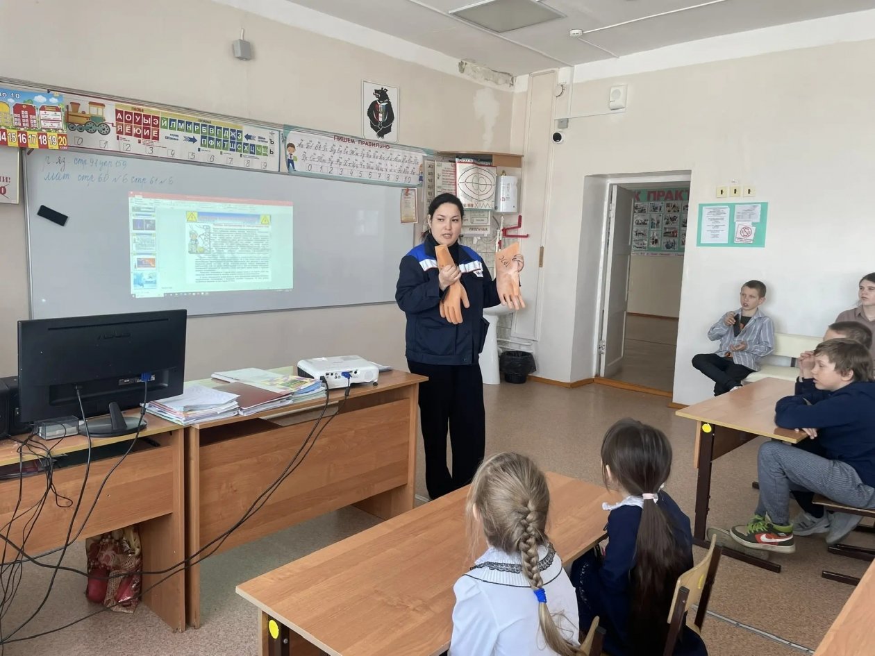 Специалисты Хабаровских электросетей проводят уроки электробезопасности для школьников Предоставлено пресс-службой АО &quotДРСК&quot