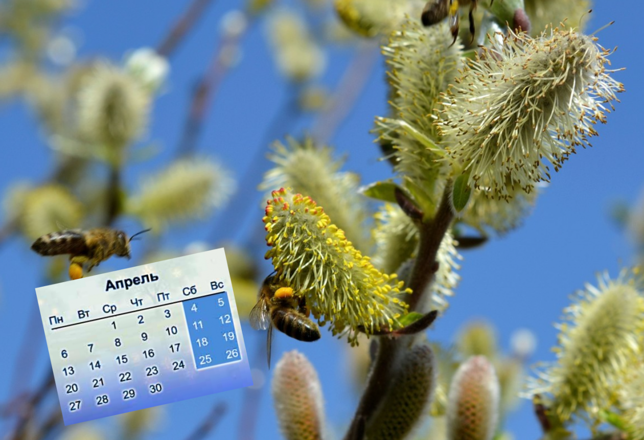 Тематическое фото Сайт pxhere.com