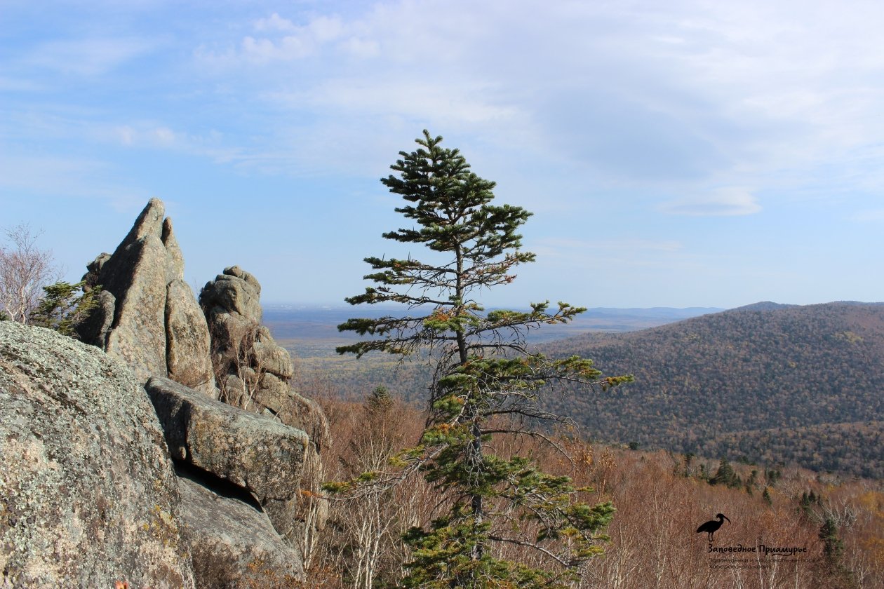 Огонь подошел к границам заповедника &quotБольшехехцирский&quot в Хабаровском крае ФГБУ &quotЗаповедное Приамурье&quot