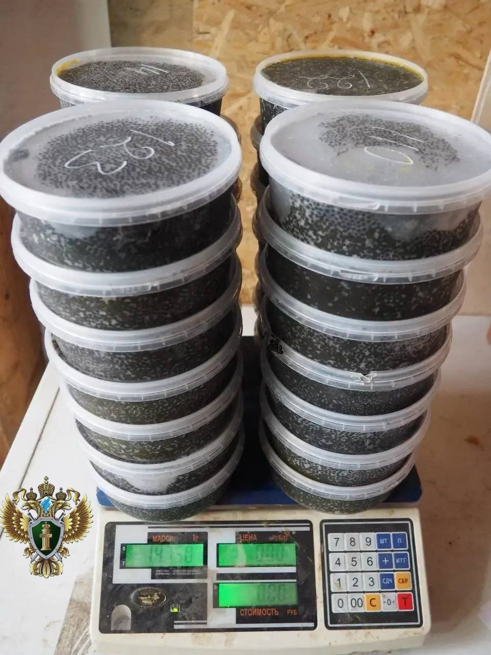 За незаконный оборот икры осетра перед судом предстанет житель Комсомольска-на-Амуре Дальневосточная транспортная прокуратура