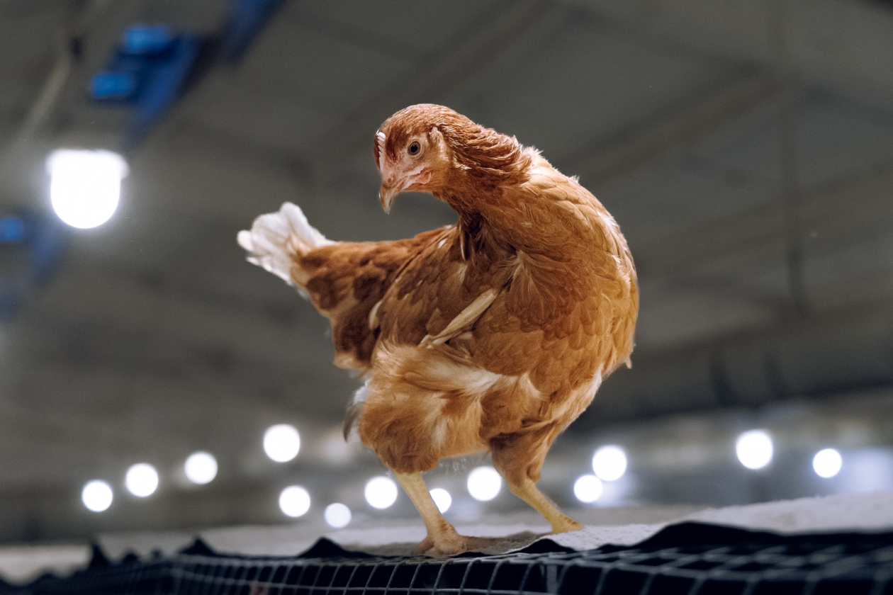 Тематическое фото Евгений Кулешов, ИА PrimaMedia