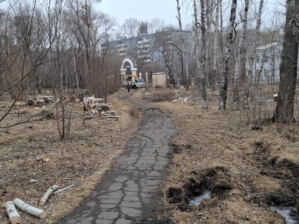 По нацпроекту в Комсомольске-на-Амуре началось благоустройство ещё одной территории Пресс-служба администрации Комсомольска-на-Амуре