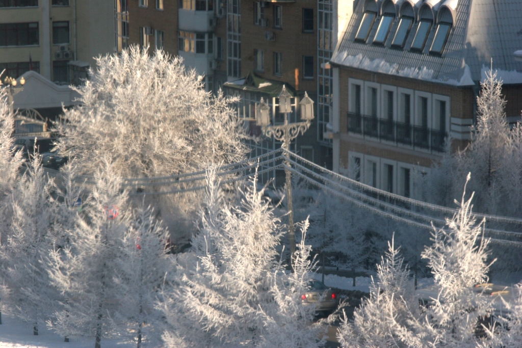 Зима в городе, Фото с места события собственное