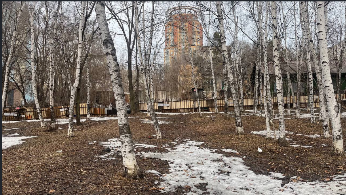 Сквер по ул. Волочаевской — ул. Блюхера Сайт голосования