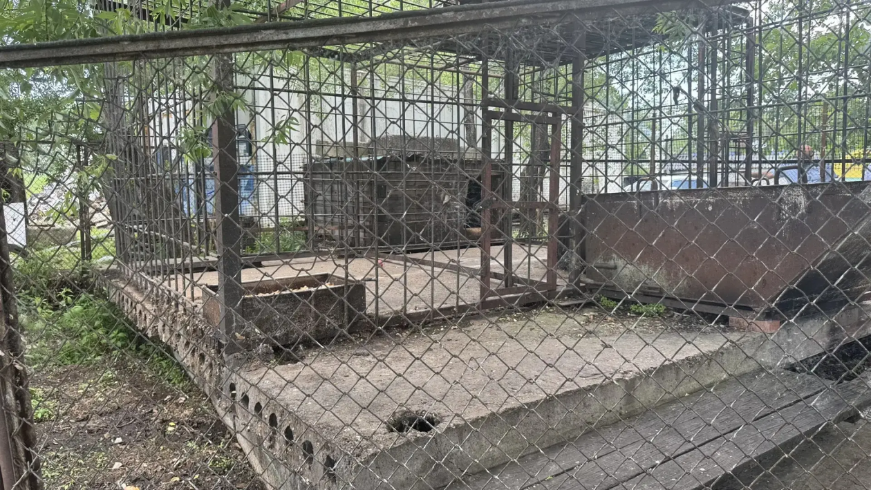 Амурская бассейновая природоохранная прокуратура