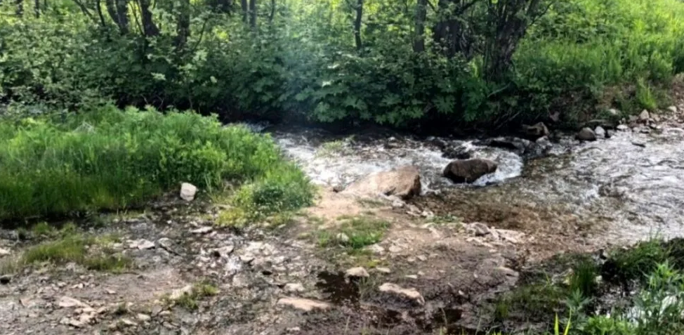 Амурская бассейновая природоохранная прокуратура